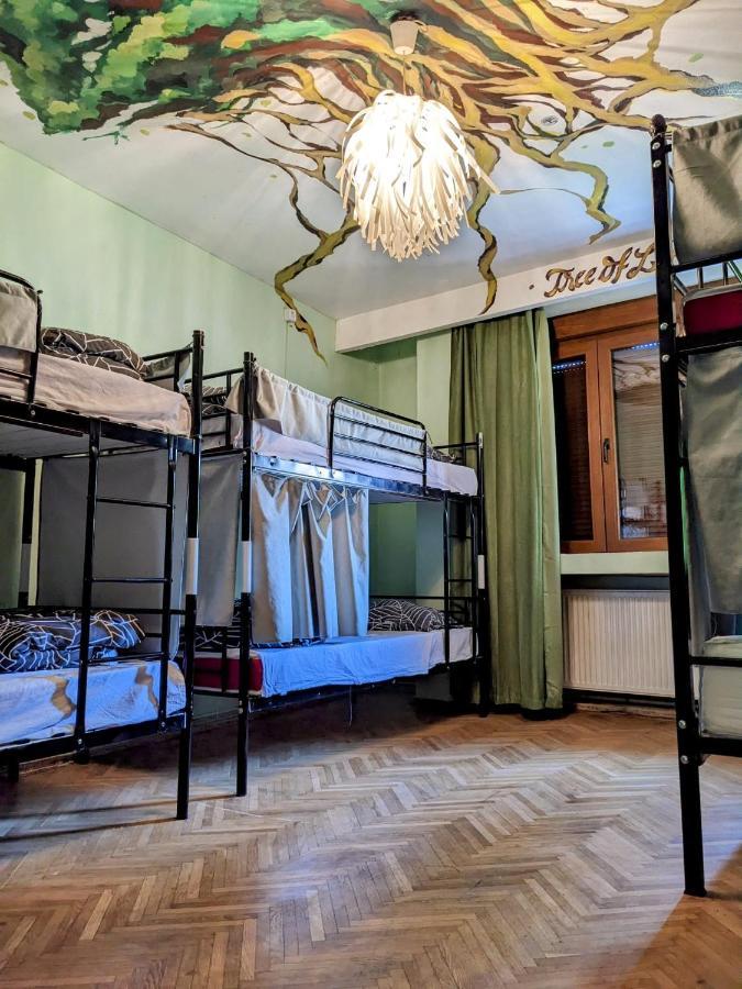 Re-Born Hostel Timisoara Esterno foto